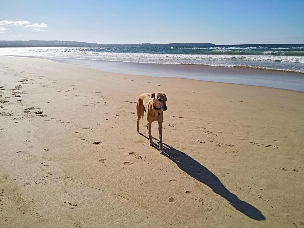 Beachcomber - Pet Friendly Merimbula Extérieur photo